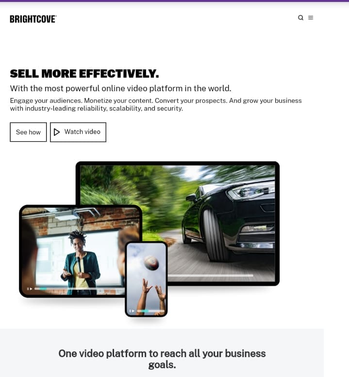 Brightcove is a free video hosting platform
