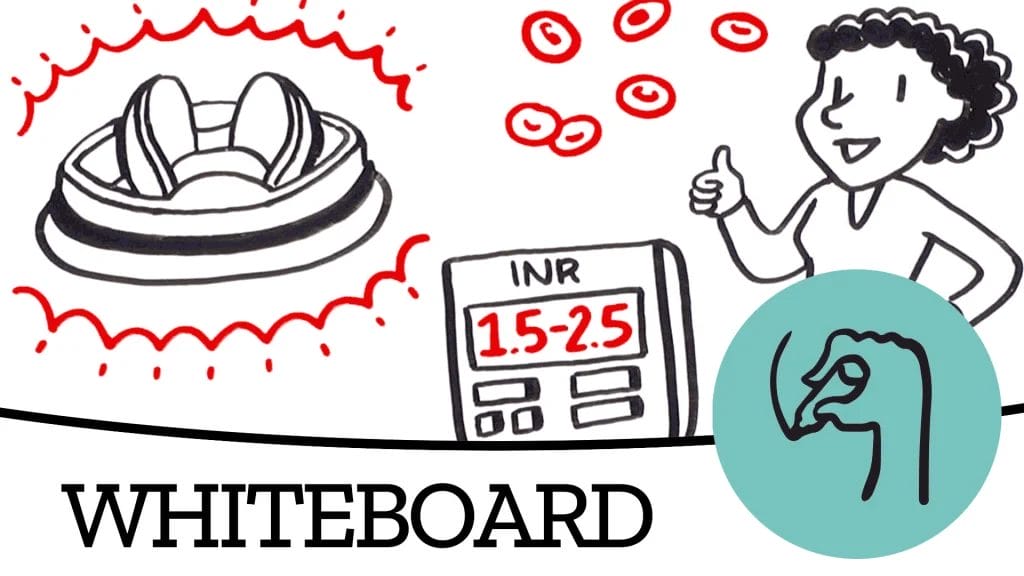 Whiteboard Animation Videos: Everything You Need to Know + Top 10 Whiteboard Animation Apps