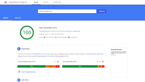 What Is Google PageSpeed Insights? How To Improve Score & Use It To Increase Your Rankings - Adilo Blog